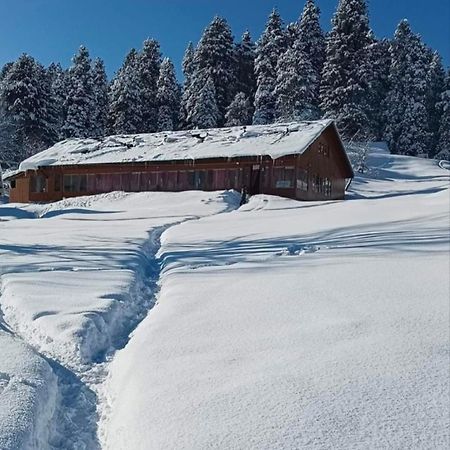 Roseland Cottage , Гульмарг Экстерьер фото